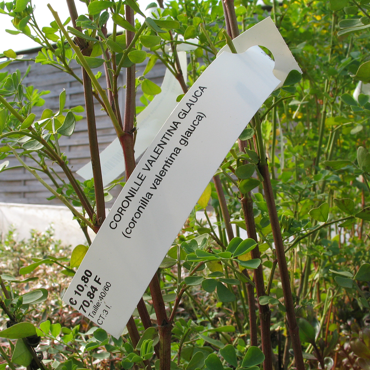Polyart-synthetic-paper-Tags-labels